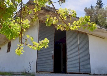 Foto 9 - Agricultural land contrada puglisi, Torchiara - photo 9