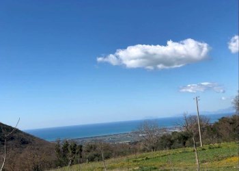 Foto 3 - Terreno agricolo via strettina Scorzello, Capaccio Paestum - foto 3