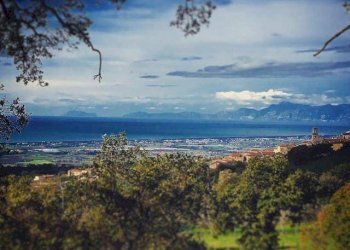 Foto 5 - Terreno agricolo via strettina Scorzello, Capaccio Paestum - foto 5