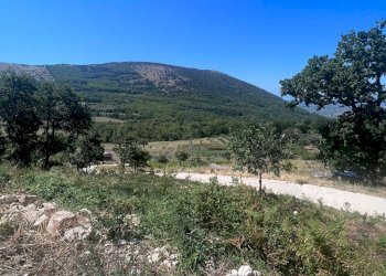 Foto 8 - Terreno agricolo via strettina Scorzello, Capaccio Paestum - foto 8