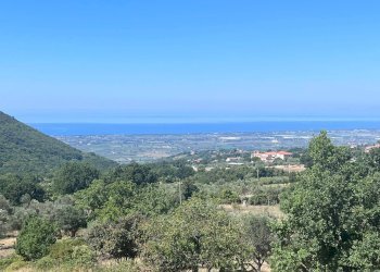 Foto 9 - Terreno agricolo via strettina Scorzello, Capaccio Paestum - foto 9