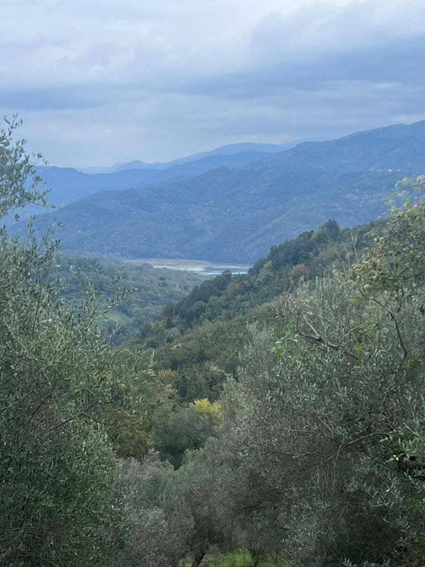 Foto 1 - Terreno agricolo via diga alento, Prignano Cilento - foto 1
