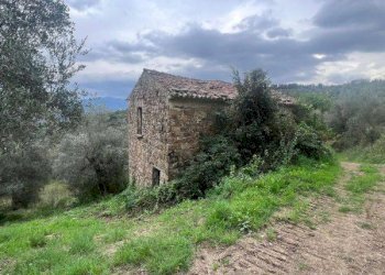 Foto 2 - Terreno agricolo via diga alento, Prignano Cilento - foto 2