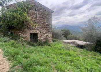 Foto 3 - Terreno agricolo via diga alento, Prignano Cilento - foto 3