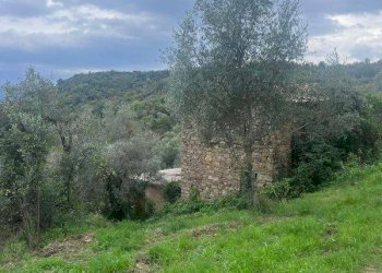 Foto 5 - Terreno agricolo via diga alento, Prignano Cilento - foto 5