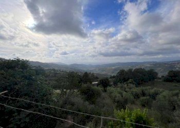 Foto 5 - Appartamento via aldo moro, Laureana Cilento - foto 5