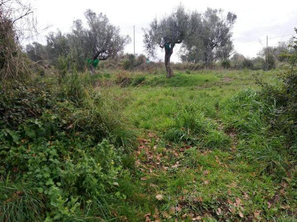 Foto 3 - Rustico via campanina, Agropoli - foto 3