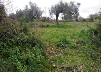 Foto 3 - Rustico via campanina, Agropoli - foto 3