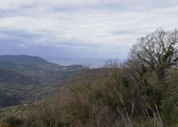 Foto 5 - Rustico via campanina, Agropoli - foto 5