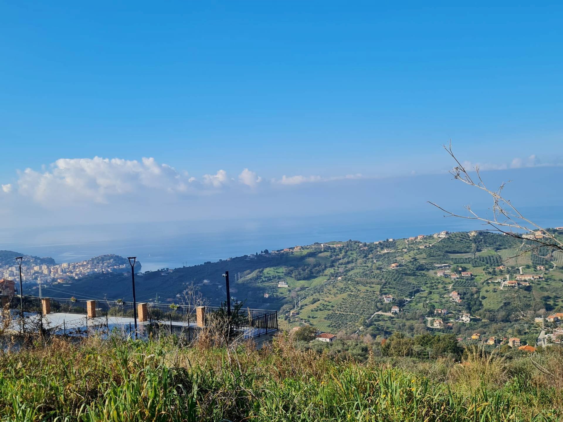 Foto 3 - Terreno agricolo via dei mille, Ogliastro Cilento - foto 3