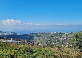 Foto 1 - Terreno agricolo via dei mille, Ogliastro Cilento - foto 1