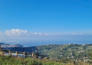 Foto 2 - Terreno agricolo via dei mille, Ogliastro Cilento - foto 2