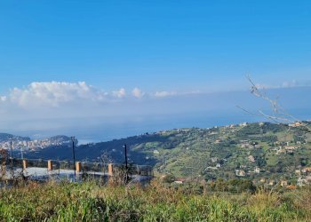 Foto 3 - Terreno agricolo via dei mille, Ogliastro Cilento - foto 3