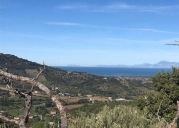 Foto 3 - Terreno agricolo via visconti, Ogliastro Cilento - foto 3