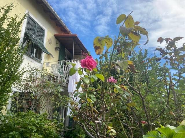 Foto 3 - Casa indipendente Località Corona, Stella - foto 3