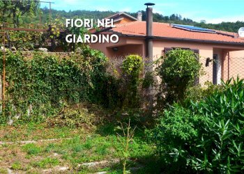 Giardino - Casa indipendente VIA GIULIO CESARE
 
9, Roccastrada - foto 21