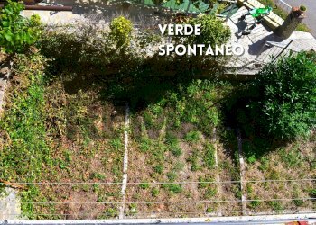 Giardino - Casa indipendente VIA GIULIO CESARE
 
9, Roccastrada - foto 22