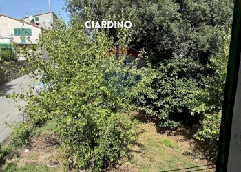 GIARDINO - Casa semi indipendente VIA ROMA
 
73, Roccastrada - foto 15