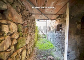 Giardino - Casa indipendente VIA ROMA
 
73, Roccastrada - foto 27