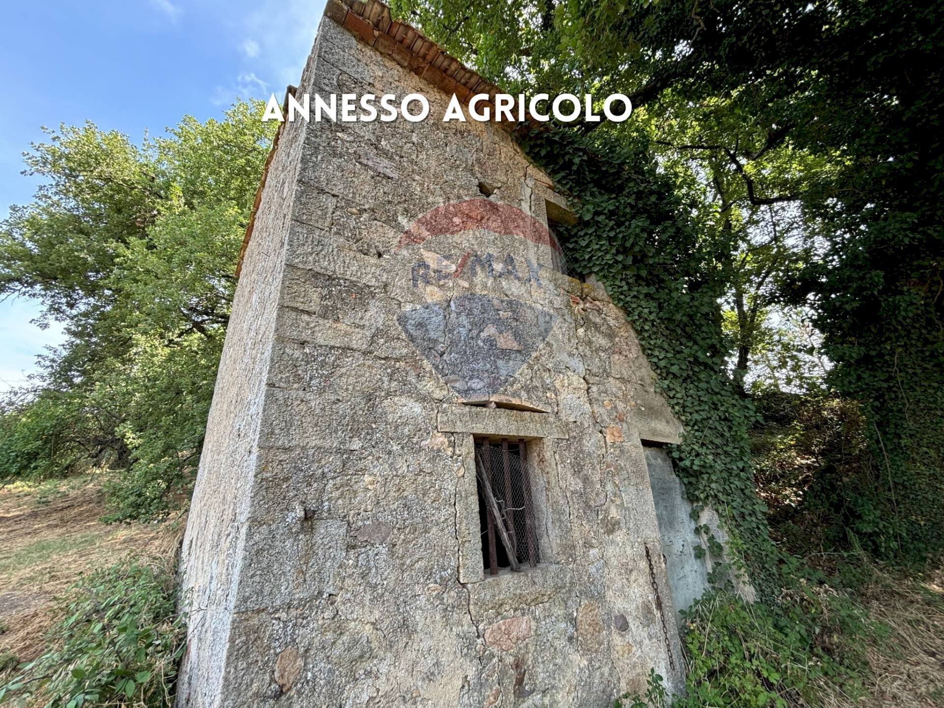 RUSTICO - Rustic PODERE QUERCETO
 
SNC, Roccastrada - photo 1