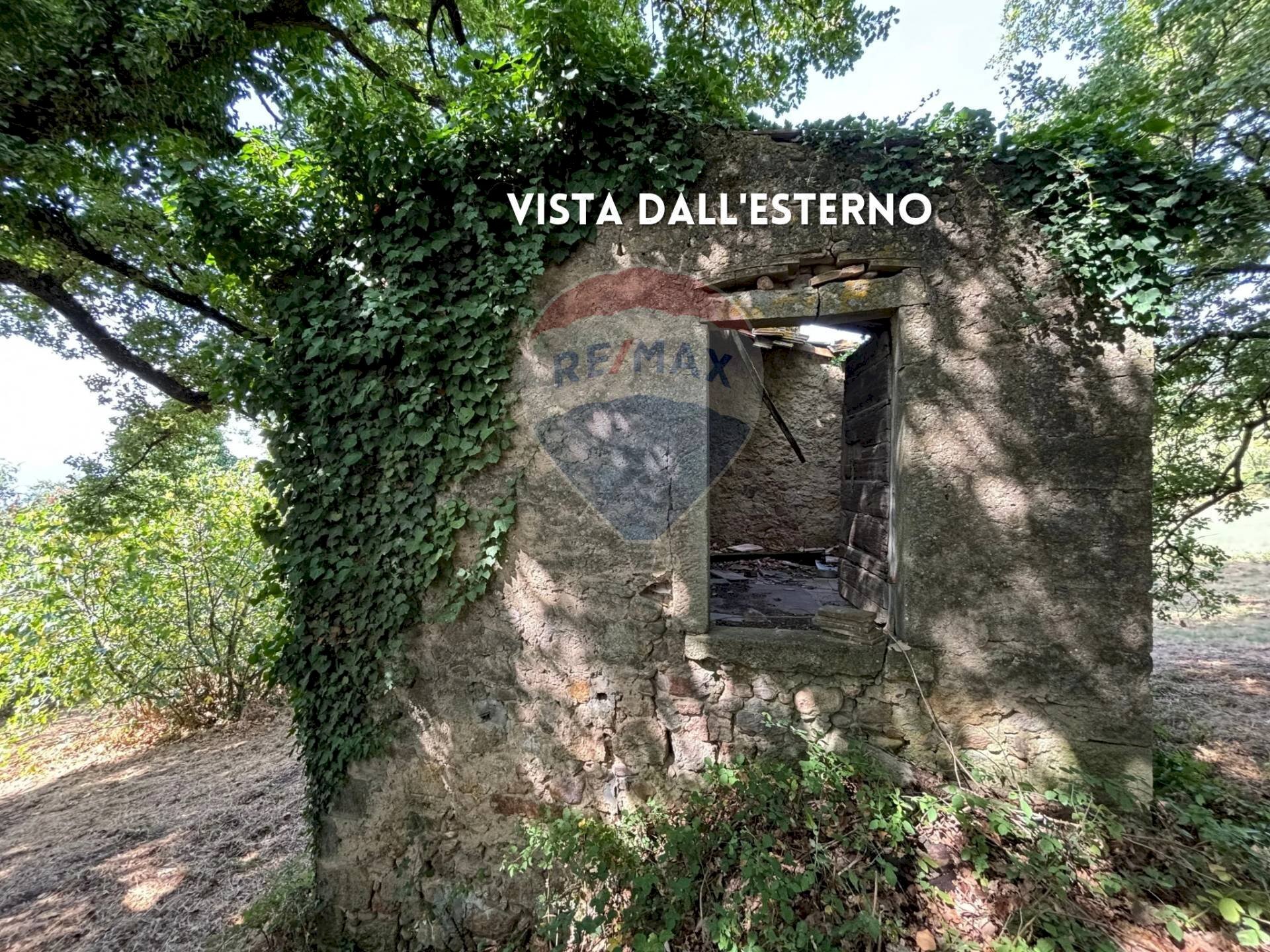 RUSTICO - Rustic PODERE QUERCETO
 
SNC, Roccastrada - photo 3