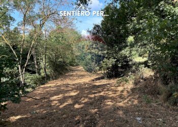 STRADA DI ACCESSO - Rustico PODERE QUERCETO
 
SNC, Roccastrada - foto 4