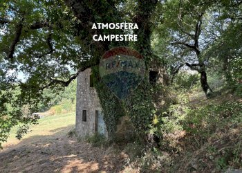 RUSTICO - Rustico PODERE QUERCETO
 
SNC, Roccastrada - foto 5