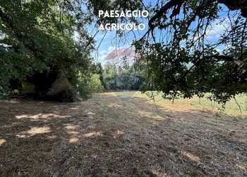 TERRENO - Rustico PODERE QUERCETO
 
SNC, Roccastrada - foto 9