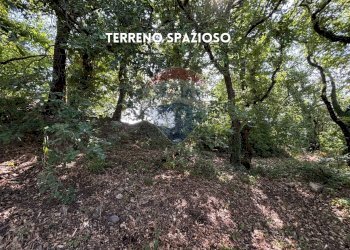 TERRENO - Rustico PODERE QUERCETO
 
SNC, Roccastrada - foto 10