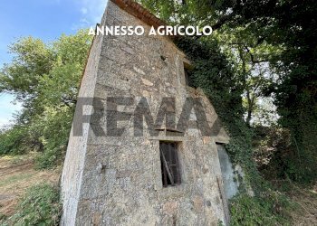 Casa all\'aperto - Rustic PODERE QUERCETO
 
SNC, Roccastrada - photo 4