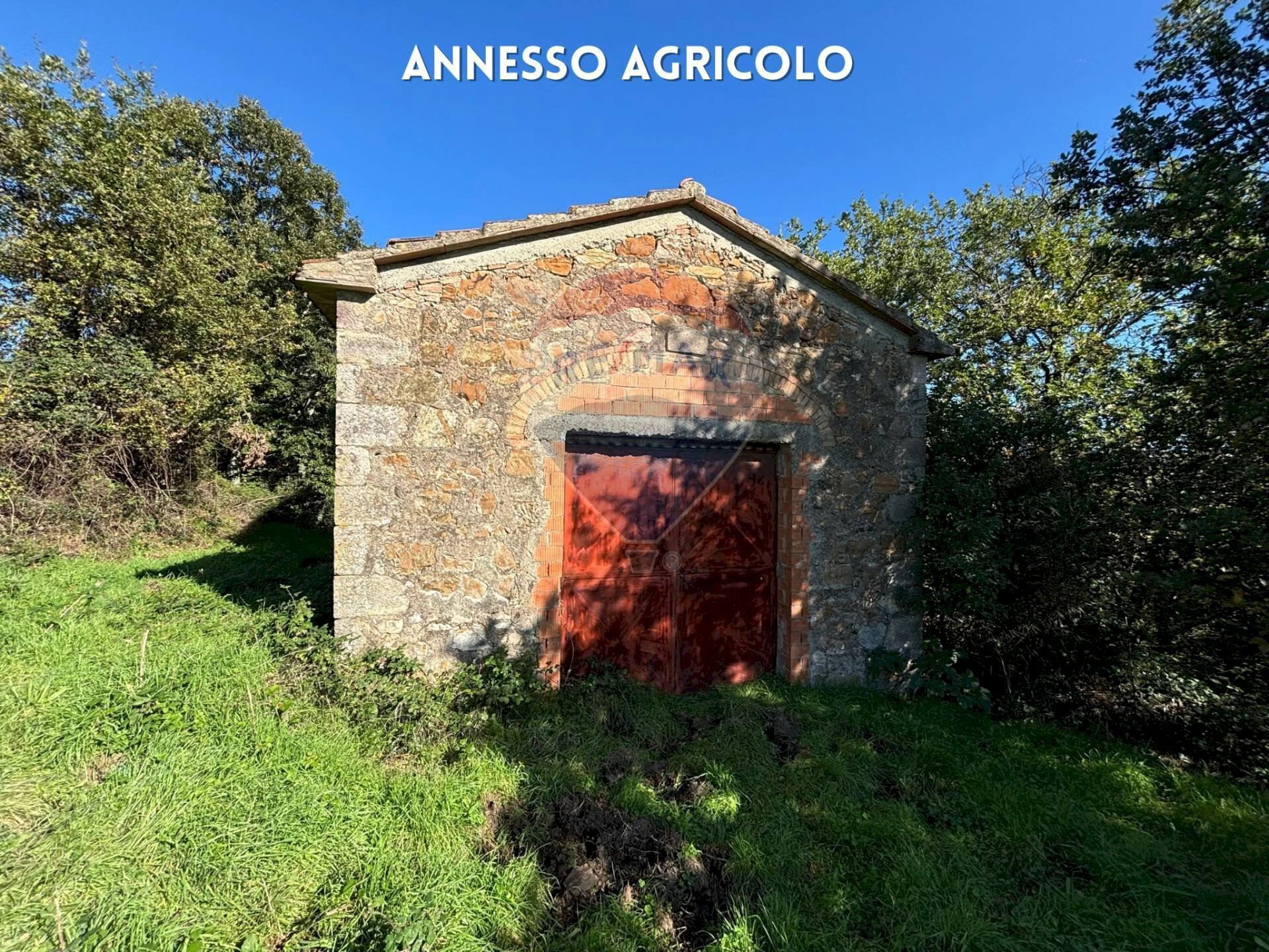 RUSTICO IN PIETRA - Rustico LOCALITA' CINCIGLIANO
 
SNC, Roccastrada - foto 2