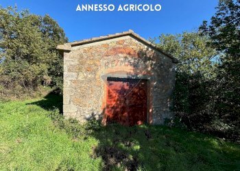 RUSTICO IN PIETRA - Rustico LOCALITA' CINCIGLIANO
 
SNC, Roccastrada - foto 2