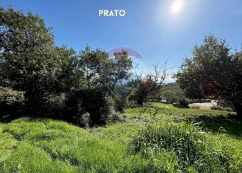 TERRENO - Rustico LOCALITA' CINCIGLIANO
 
SNC, Roccastrada - foto 13