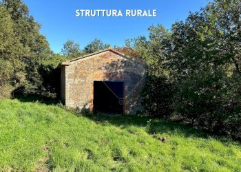 RUSTICO IN PIETRA - Rustico LOCALITA' CINCIGLIANO
 
SNC, Roccastrada - foto 15