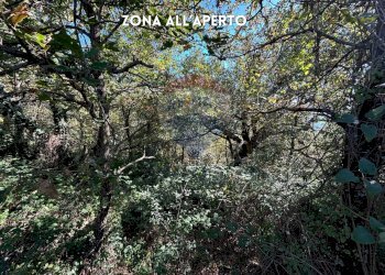 BOSCO - Rustico LOCALITA' CINCIGLIANO
 
SNC, Roccastrada - foto 17