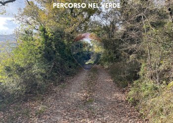 STRADA DI ACCESSO - Rustico LOCALITA' I GESSI
 
SNC, Roccastrada - foto 5