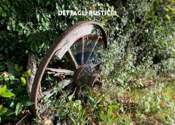 ATTREZZI - Rustico LOCALITA' I GESSI
 
SNC, Roccastrada - foto 17