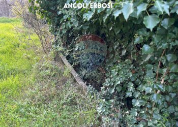 DETTAGLIO - Rustico LOCALITA' I GESSI
 
SNC, Roccastrada - foto 19