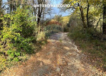 STRADA D\'INGRESSO - Rustico LOCALITA' I GESSI
 
SNC, Roccastrada - foto 20