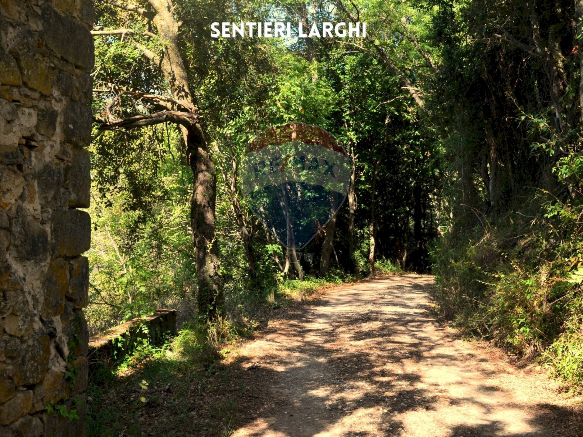 STRADA DI ACCESSO - Terreno agricolo LOCALITA' CASETTE
 
SNC, Roccastrada - foto 1