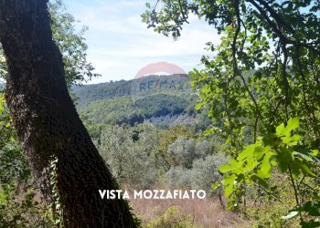 COLLINE - Terreno agricolo LOCALITA' CASETTE
 
SNC, Roccastrada - foto 2