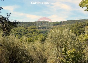 PANORAMA - Terreno agricolo LOCALITA' CASETTE
 
SNC, Roccastrada - foto 5