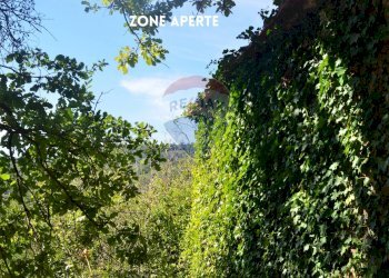 PANORAMA - Terreno agricolo LOCALITA' CASETTE
 
SNC, Roccastrada - foto 7