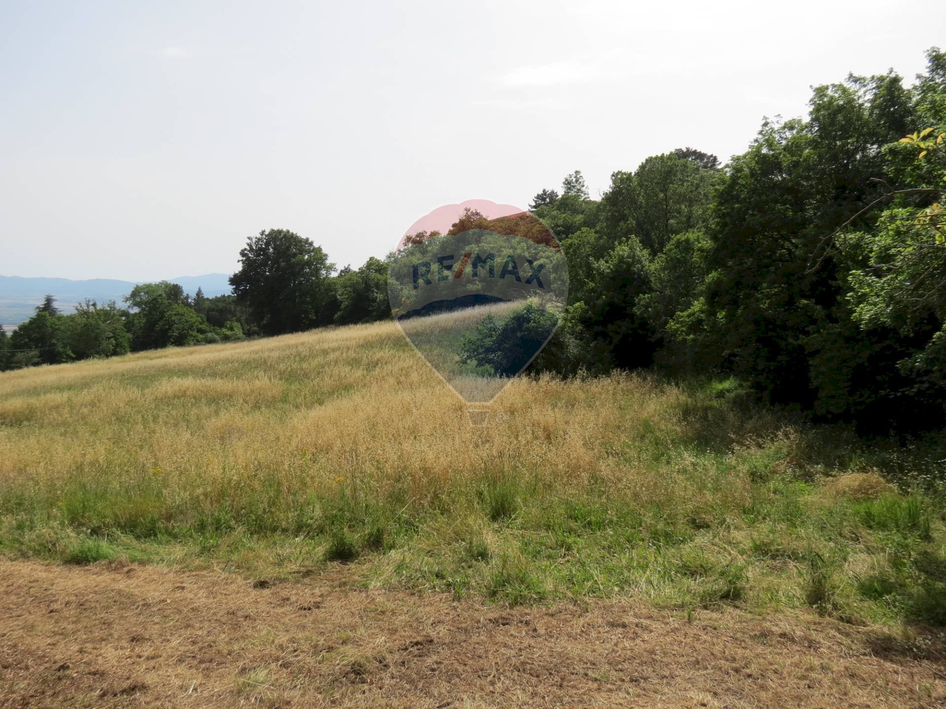 TERRENO - Rustico VIA DEL SEMINARIO
 
SNC, Roccastrada - foto 3