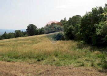 TERRENO - Rustico VIA DEL SEMINARIO
 
SNC, Roccastrada - foto 3