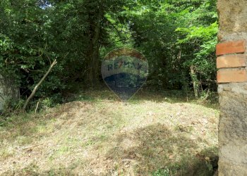 ENTRATA CON CANCELLO - Rustico VIA DEL SEMINARIO
 
SNC, Roccastrada - foto 15