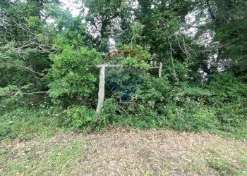 DETTAGLIO - Rustico VIA DEL SEMINARIO
 
SNC, Roccastrada - foto 21