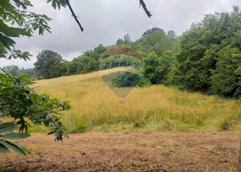 TERRENO CON VISTA - Rustico VIA DEL SEMINARIO
 
SNC, Roccastrada - foto 22