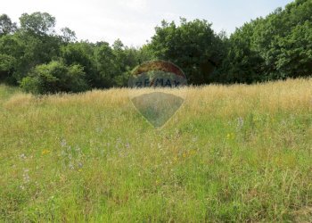 TERRAZZA CON VISTA PANORAMICA - Rustico VIA DEL SEMINARIO
 
SNC, Roccastrada - foto 23