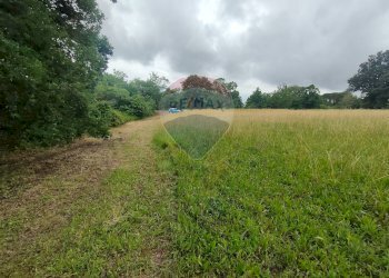 TERRAZZA CON VISTA PANORAMICA - Rustico VIA DEL SEMINARIO
 
SNC, Roccastrada - foto 24
